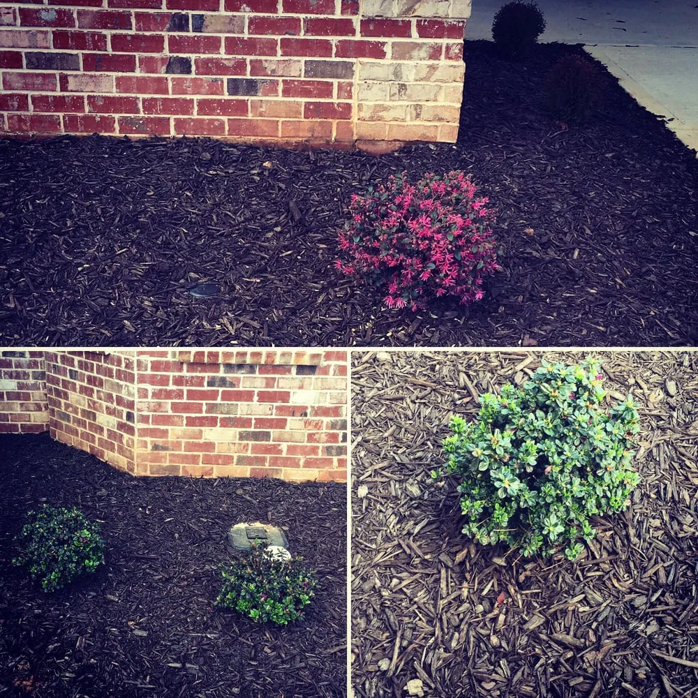 Trusted landscape installation in Stockbridge, GA - Integrity Landscape Management