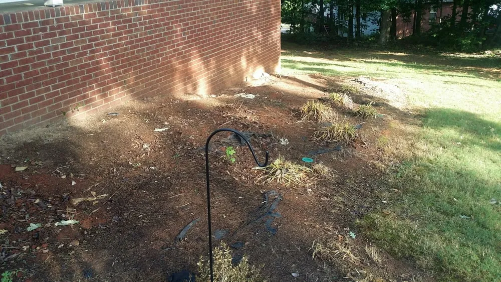 Local yard cleanup service in Stockbridge, GA - Integrity Landscape Management