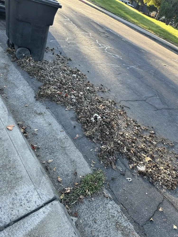 Reliable yard maintenance for year-round maintenance in Modesto, CA by Integrity Landscape