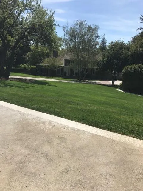 Top-rated yard maintenance for outdoor upgrades in Modesto, CA by Integrity Landscape