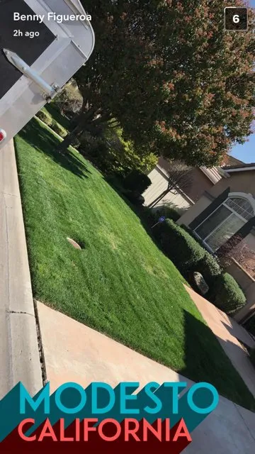 Expert yard cleanup service in Modesto, CA by Integrity Landscape