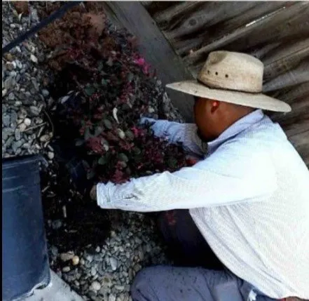 Top-rated landscape installation in Modesto, CA by Integrity Landscape