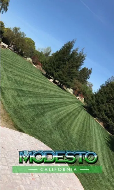 Local landscaping services in Modesto, CA - Integrity Landscape