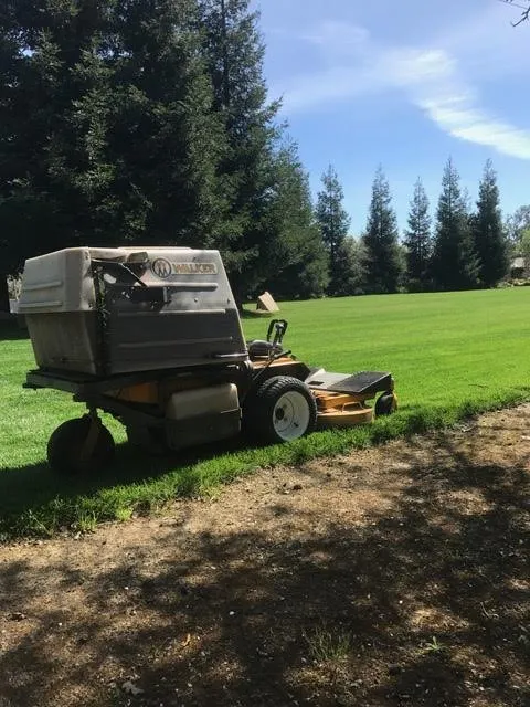 Professional lawn care service for year-round maintenance in Modesto, CA by Integrity Landscape