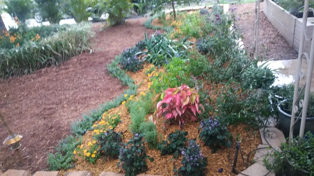 Reliable lawn care service for residential properties across Fort Lauderdale, FL - Integrity Landscape Service