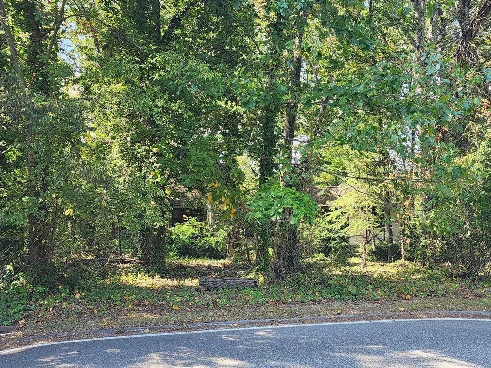 Local lawn care service for beautiful yards across Chattanooga, TN - Integrity Landscapes Chattanooga