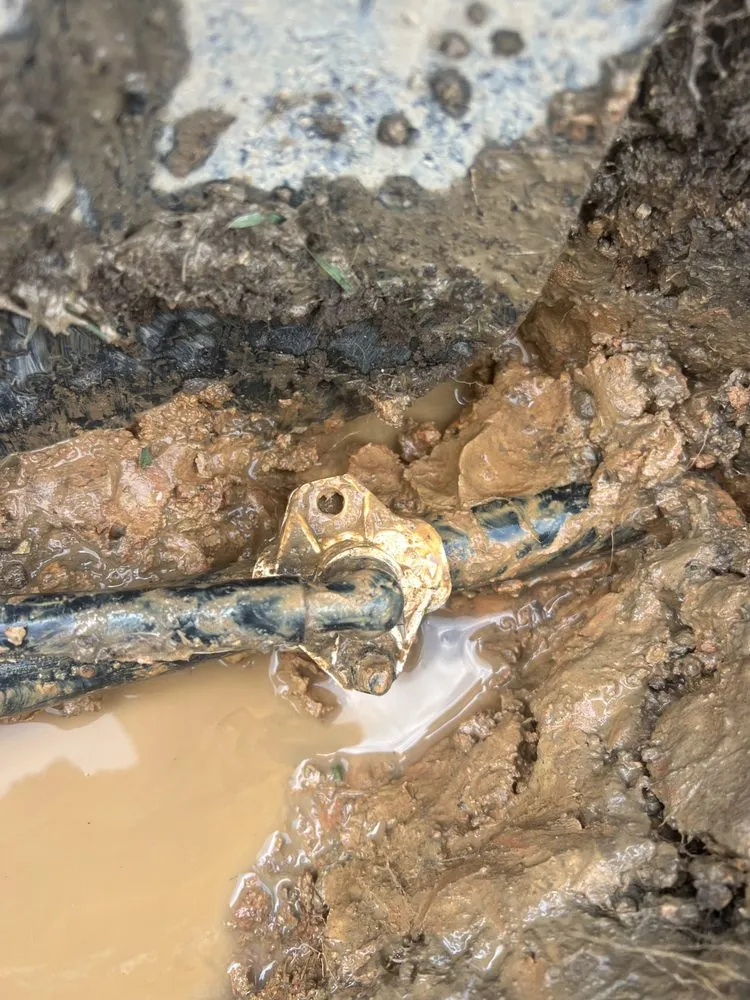 Top-rated landscaping services in Chattanooga, TN by Integrity Landscapes Chattanooga