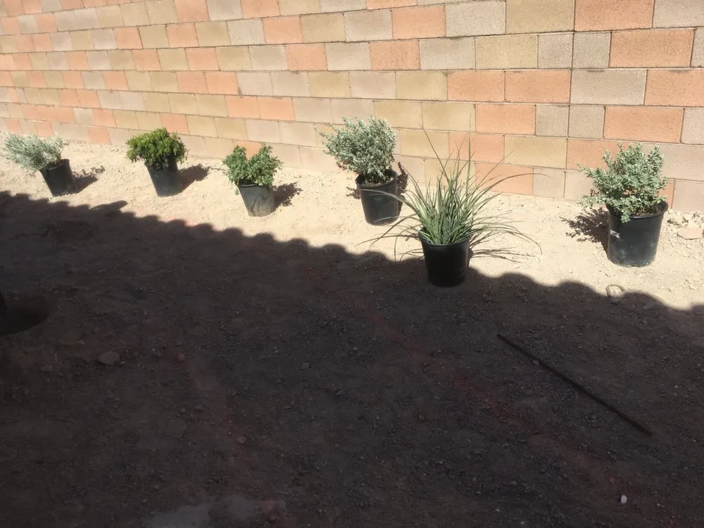 Expert lawn mowing service in Las Vegas, NV by Integrity Landscapes