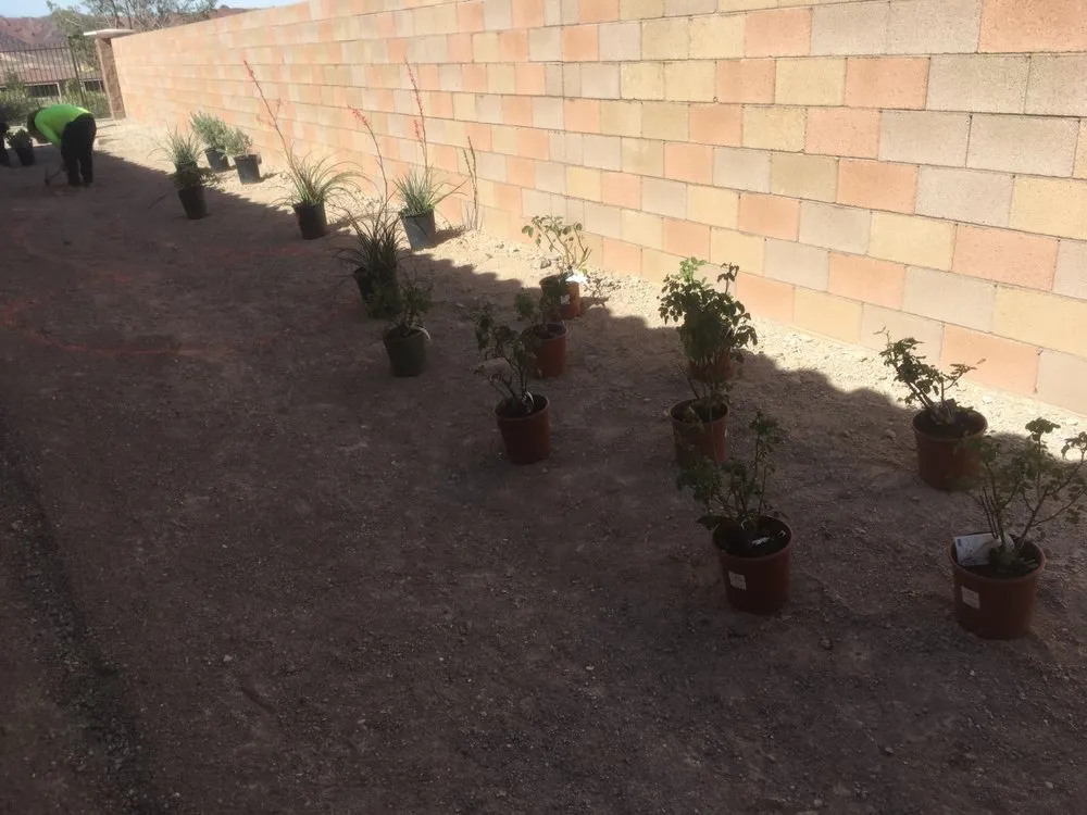 Custom outdoor landscaping for beautiful yards across Las Vegas, NV - Integrity Landscapes