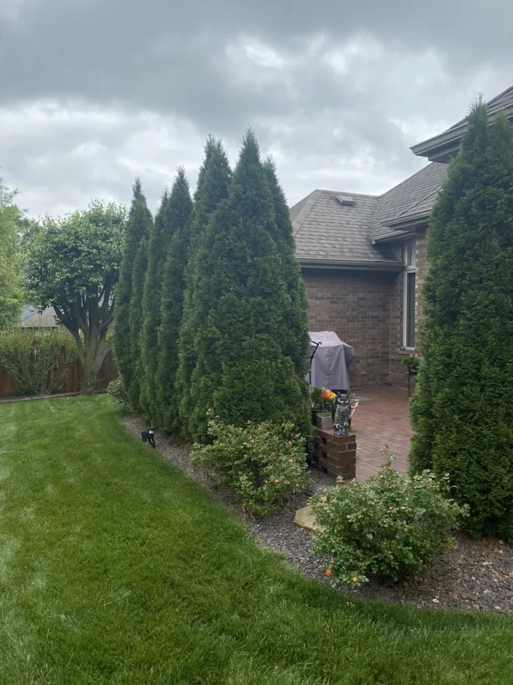 Professional outdoor landscaping experts serving Ozark, MO - Integrity Landscapes