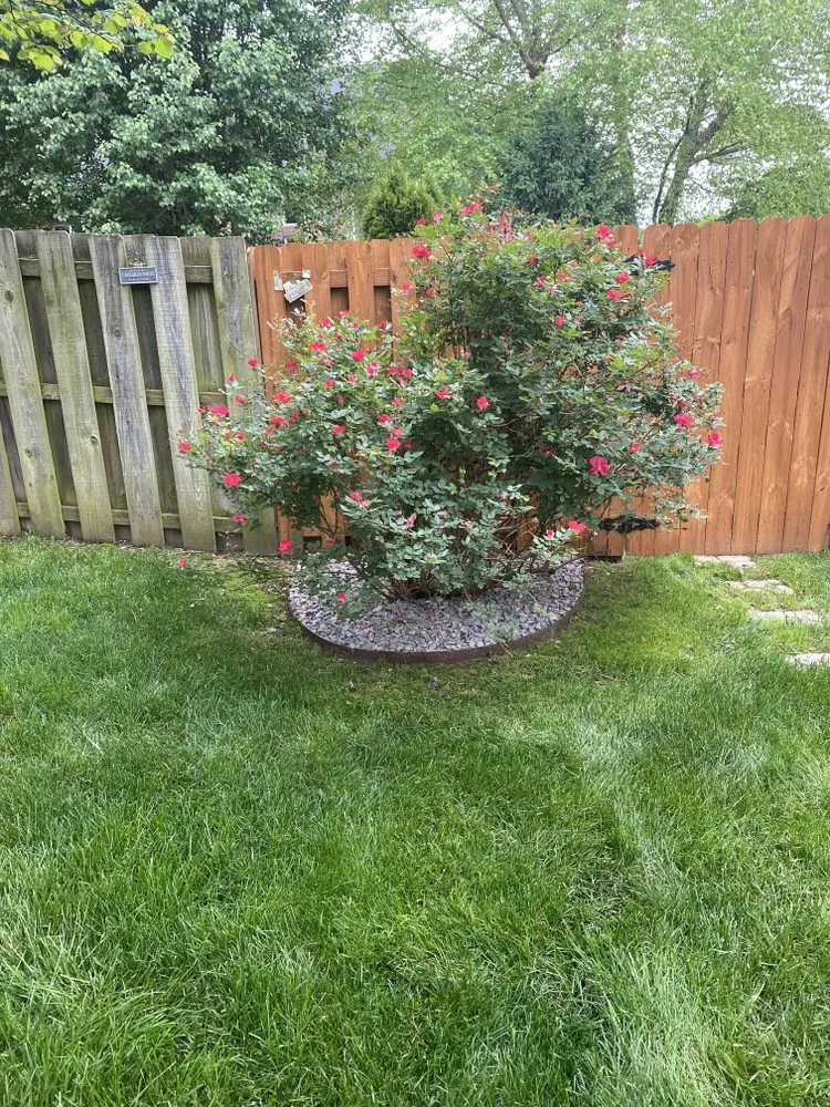 Top-rated landscape design experts serving Ozark, MO - Integrity Landscapes