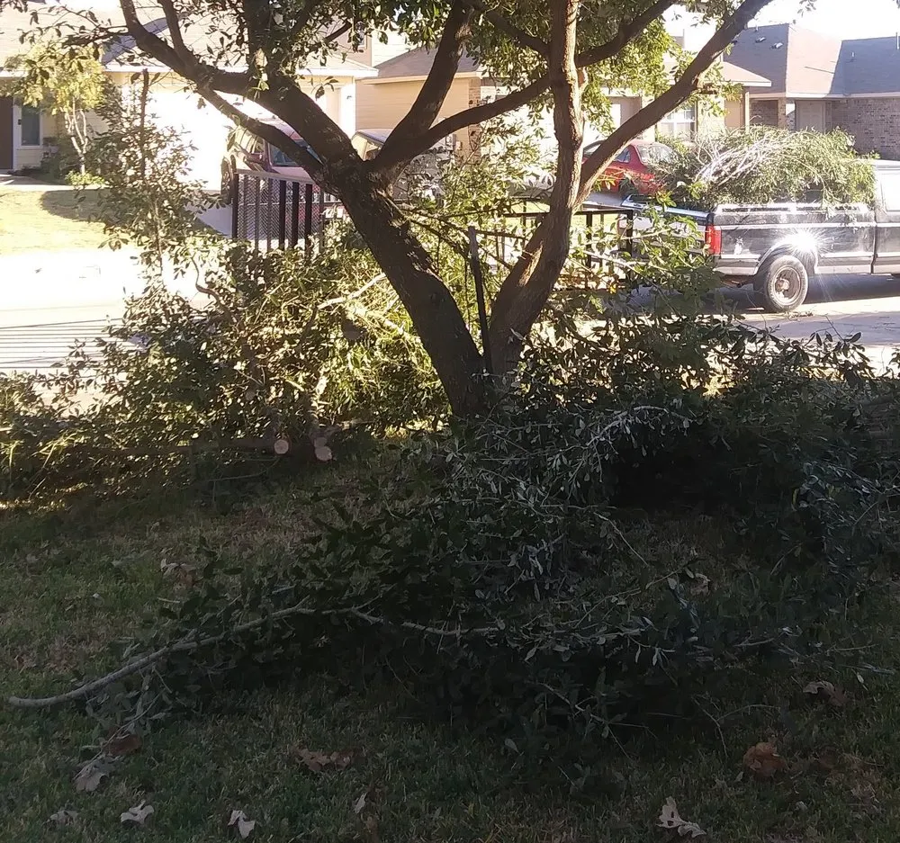 Professional landscape installation in Clute, TX - Integrity Landscaping & Fencing