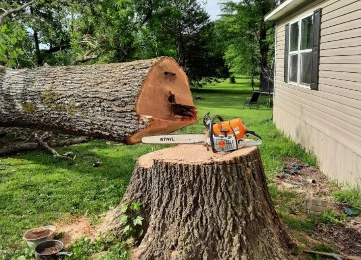 Top-rated outdoor landscaping in Imboden, AR - Integrity Landscaping & Tree Service