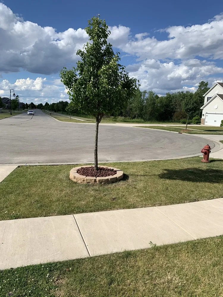 Top-rated residential landscaping experts serving knoxville, TN - Integrity Landscaping