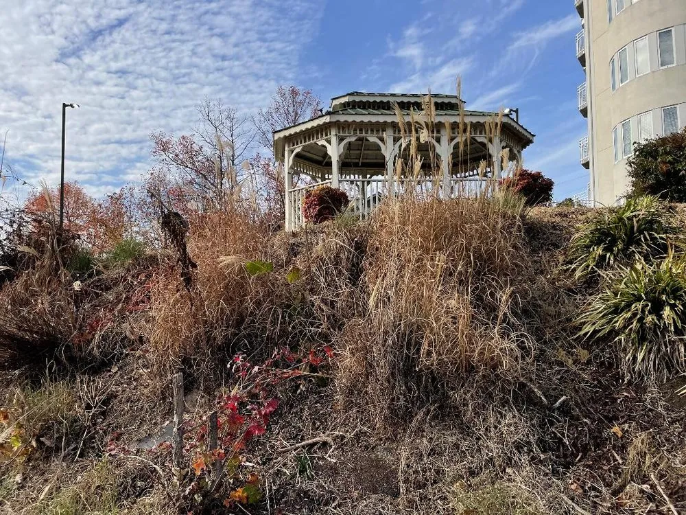 Top-rated lawn care service in knoxville, TN - Integrity Landscaping