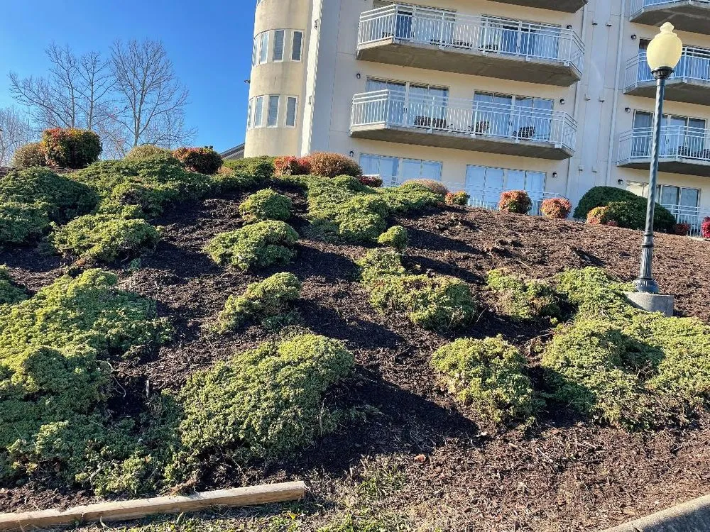 Professional yard cleanup service with custom design across knoxville, TN - Integrity Landscaping