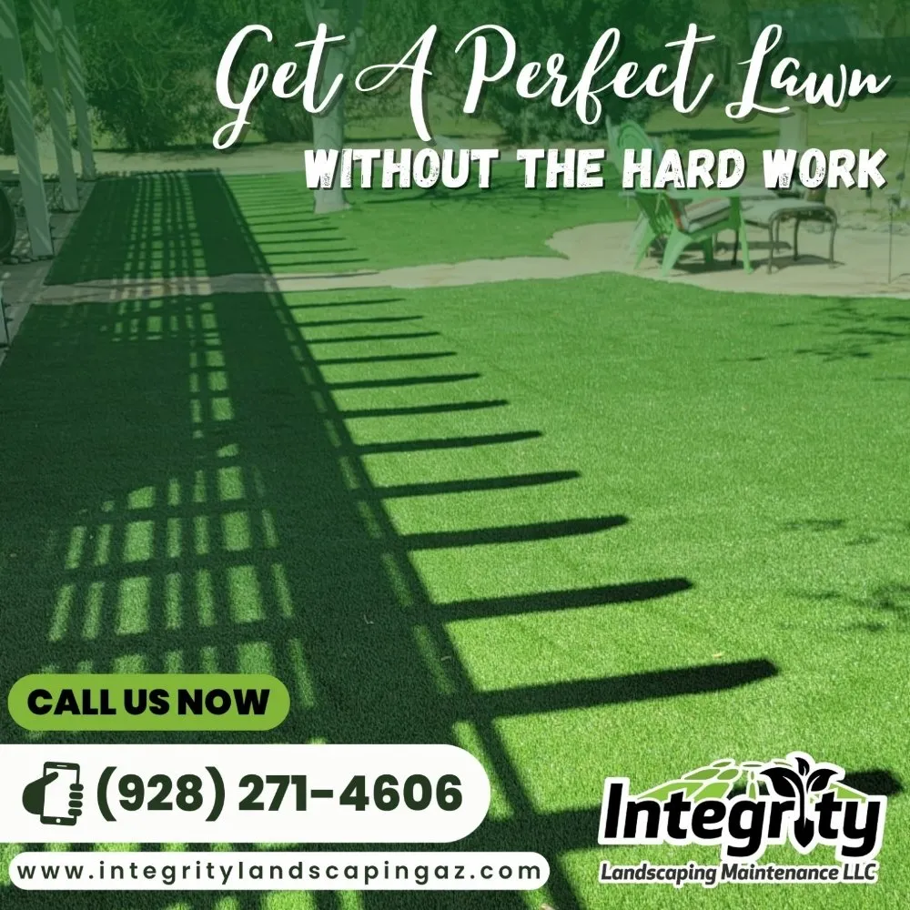 Expert landscaping services for outdoor upgrades in San Luis, AZ by Integrity Landscaping Maintenance