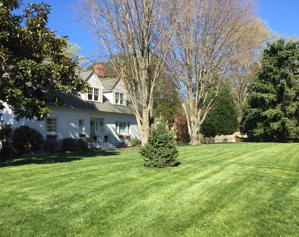 Expert landscaping services experts serving Ashland, VA - Integrity Landscaping Solutions