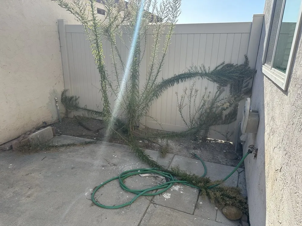 Professional lawn care service in Tulare, CA - Integrity Landscaping