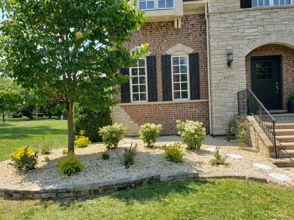 Top-rated yard cleanup service near you in Tulare, CA by Integrity Landscaping