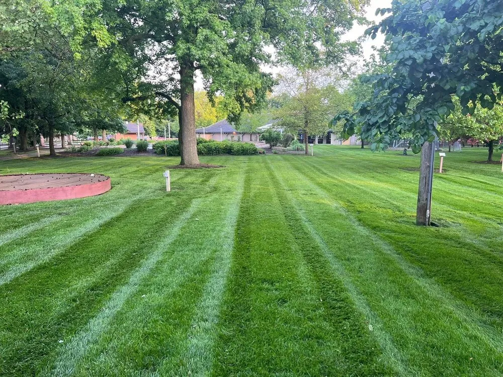 Custom yard cleanup service for year-round maintenance across Reynoldsburg, OH - Integrity Lawn & Home