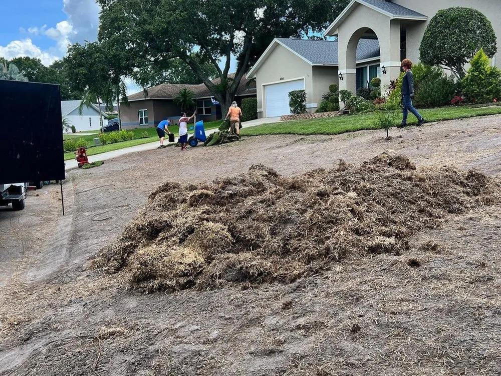 Trusted landscape installation experts serving Lakeland, FL - Integrity Lawn & Landscape