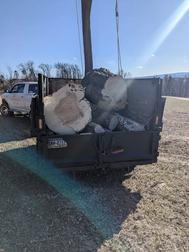 Local outdoor landscaping experts serving Douglassville, PA - Integrity Lawn & Tree