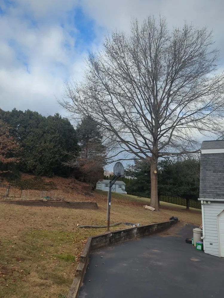 Trusted yard cleanup service in Douglassville, PA by Integrity Lawn & Tree