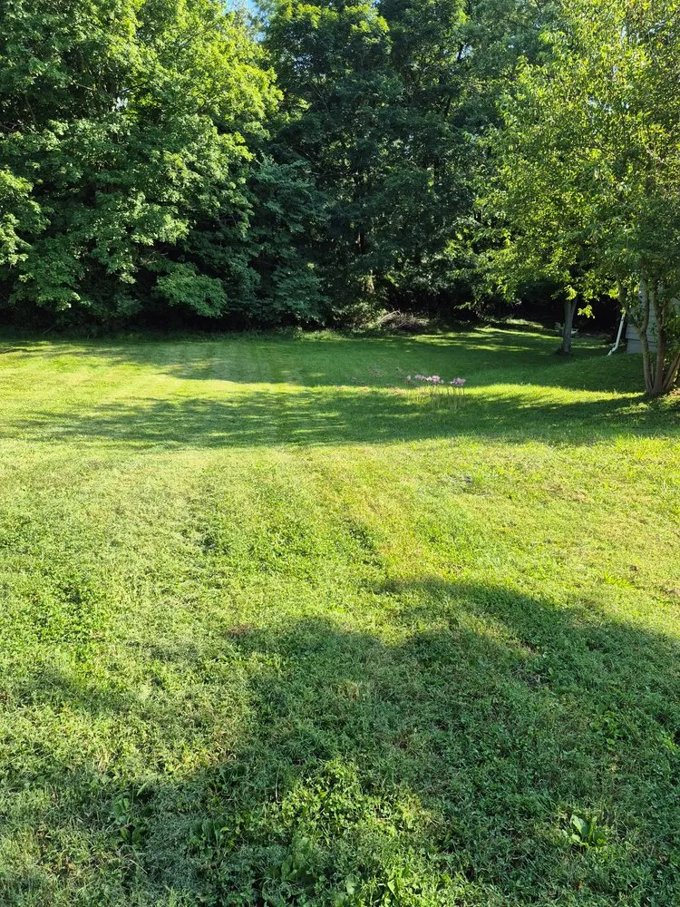 Custom residential landscaping for outdoor upgrades across Indianapolis, IN - Integrity Lawn 100