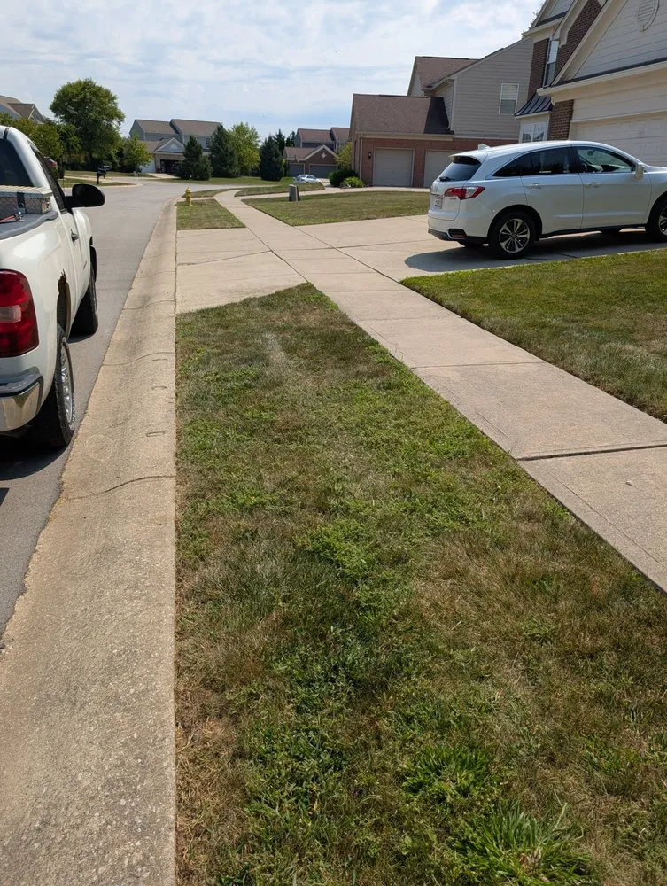 Professional yard maintenance experts serving Indianapolis, IN - Integrity Lawn 100
