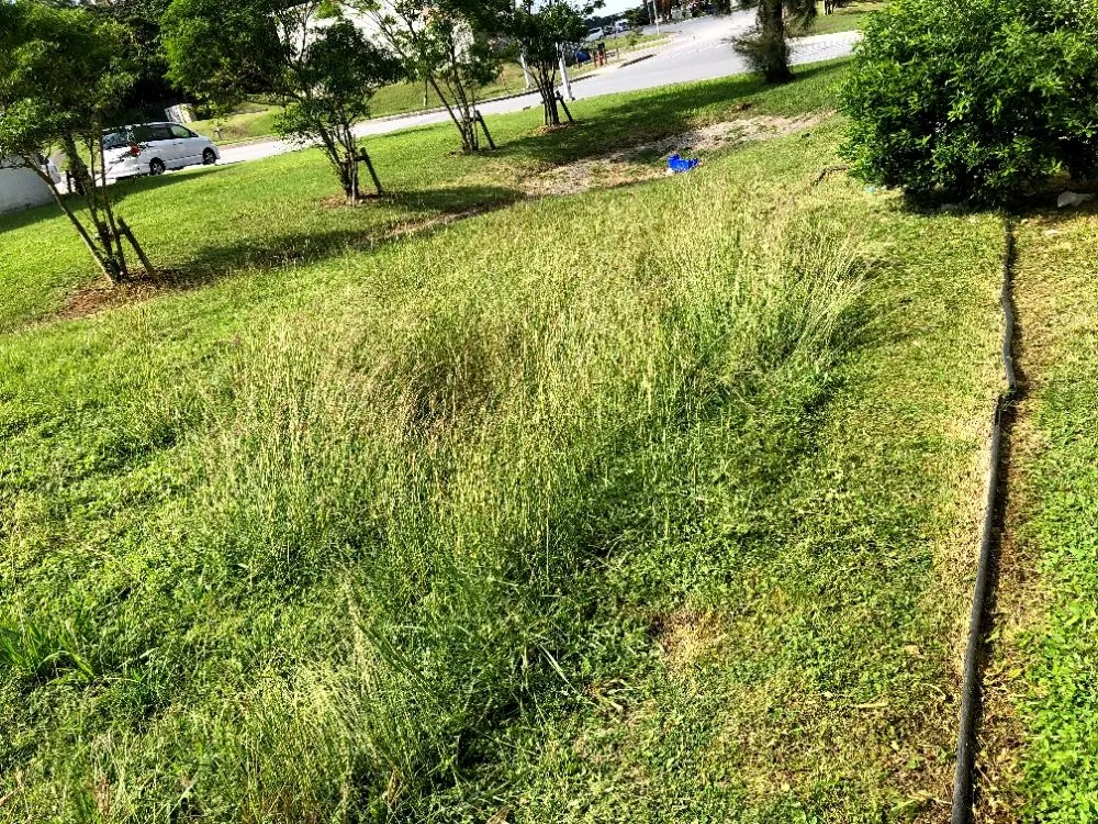 Local residential landscaping for beautiful yards across Rochester, MN - Integrity Lawn and Snow