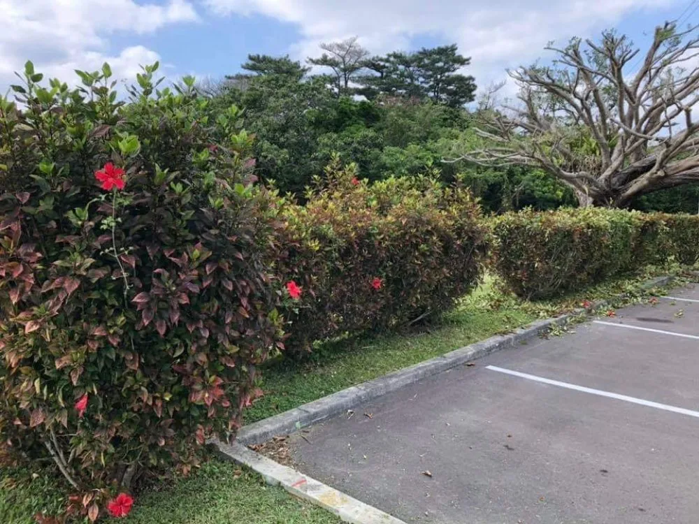 Top-rated lawn mowing service in Rochester, MN by Integrity Lawn and Snow