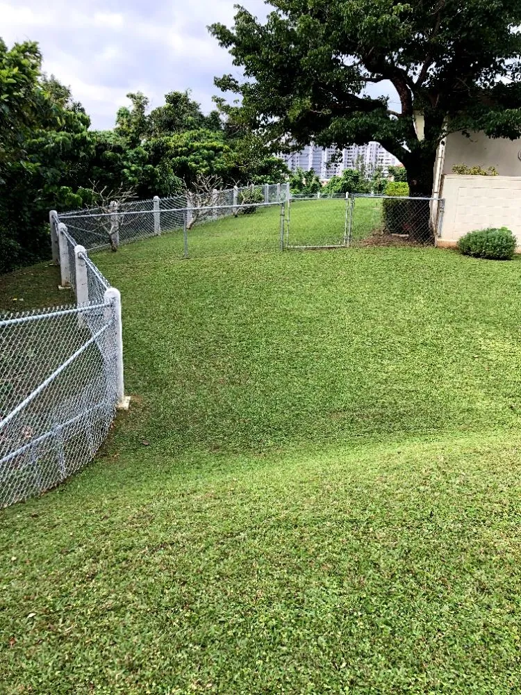 Trusted landscape design in Rochester, MN by Integrity Lawn and Snow