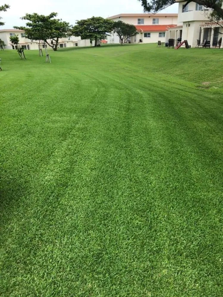 Top-rated yard maintenance for homes in Rochester, MN by Integrity Lawn and Snow