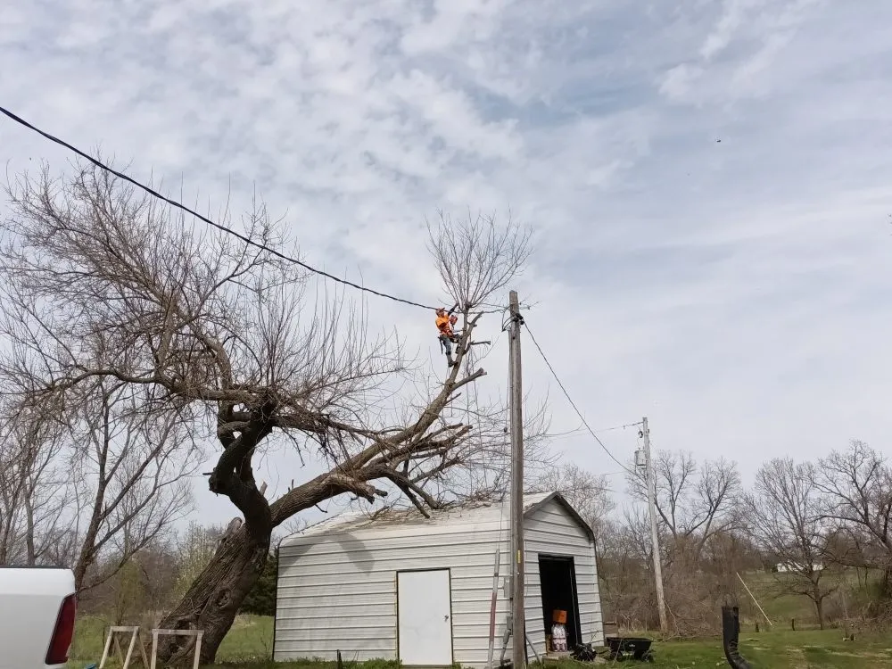 Professional residential landscaping for beautiful yards across Lowry City, MO - Integrity Lawn and Tree