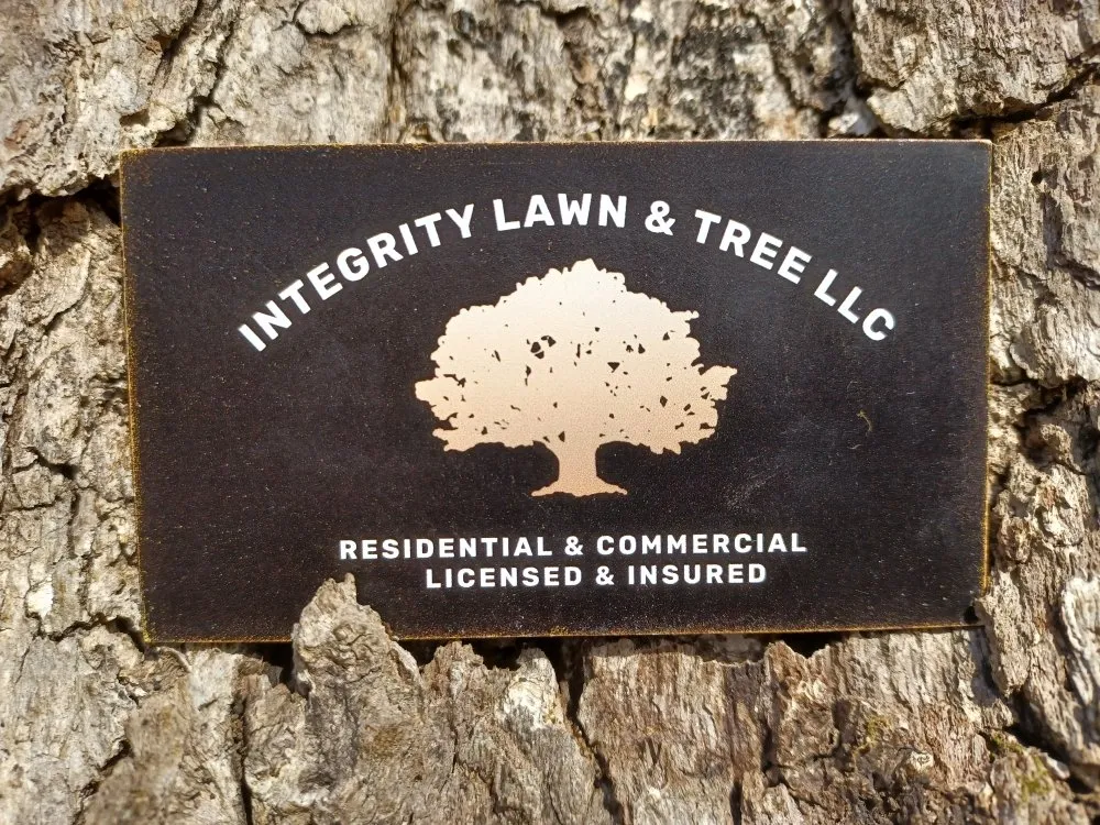 Custom landscape installation for residential properties across Lowry City, MO - Integrity Lawn and Tree
