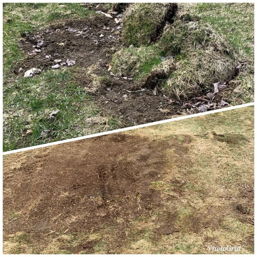 Local landscape design in Cambridge, VT by Integrity Lawn Care