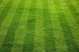 Professional lawn mowing service for residential properties across Mulvane, KS - Integrity Lawn Care