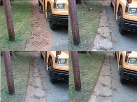 Trusted residential landscaping in Virginia Beach, VA - Integrity Lawn Maintenance