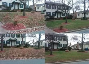 Trusted landscape design experts serving Virginia Beach, VA - Integrity Lawn Maintenance