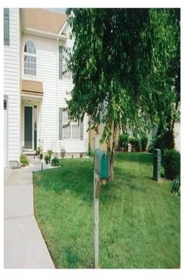 Top-rated landscaping services for homes across Virginia Beach, VA - Integrity Lawn Maintenance