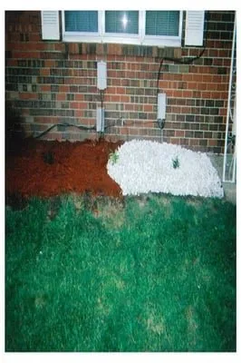 Reliable lawn care service in Virginia Beach, VA by Integrity Lawn Maintenance