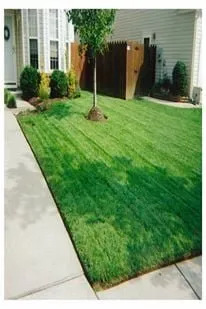 Top-rated landscape design in Virginia Beach, VA - Integrity Lawn Maintenance