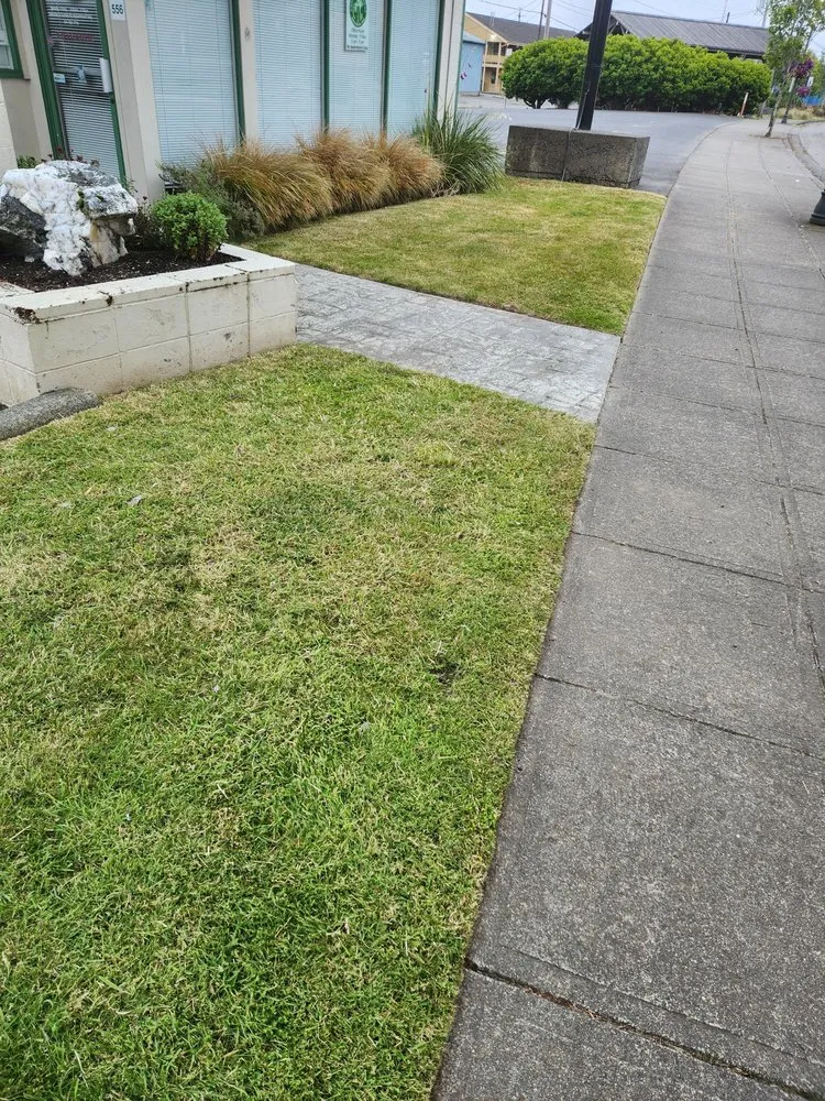 Top-rated lawn care service in Coos Bay, OR - Integrity Lawn Service