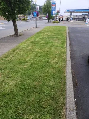 Integrity Lawn Service