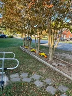 Professional landscape installation for outdoor upgrades across Hopewell, VA - Integrity Lawn Service