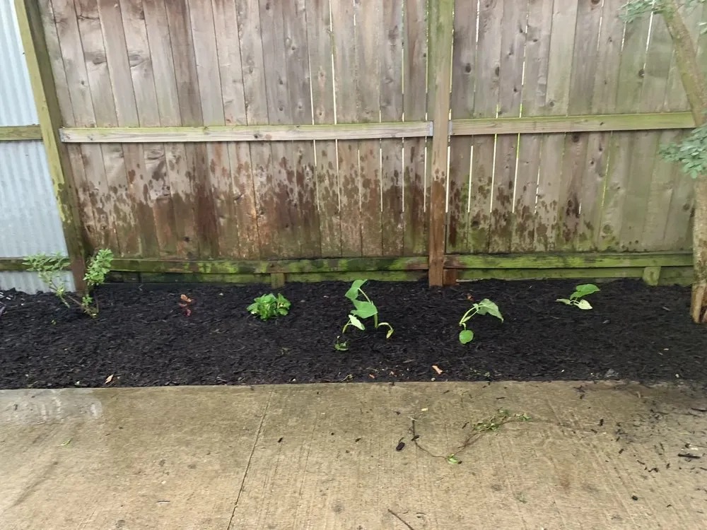 Expert garden landscaping experts serving Houston, TX - Integrity Lawn Services