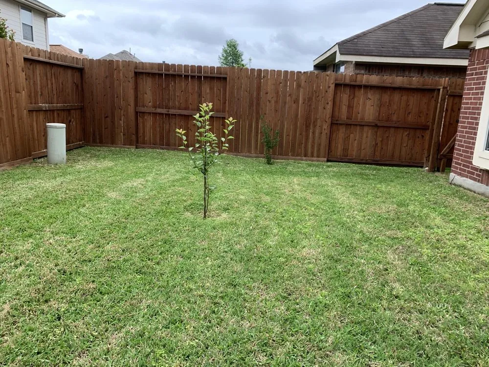 Affordable lawn care service experts serving Houston, TX - Integrity Lawn Services