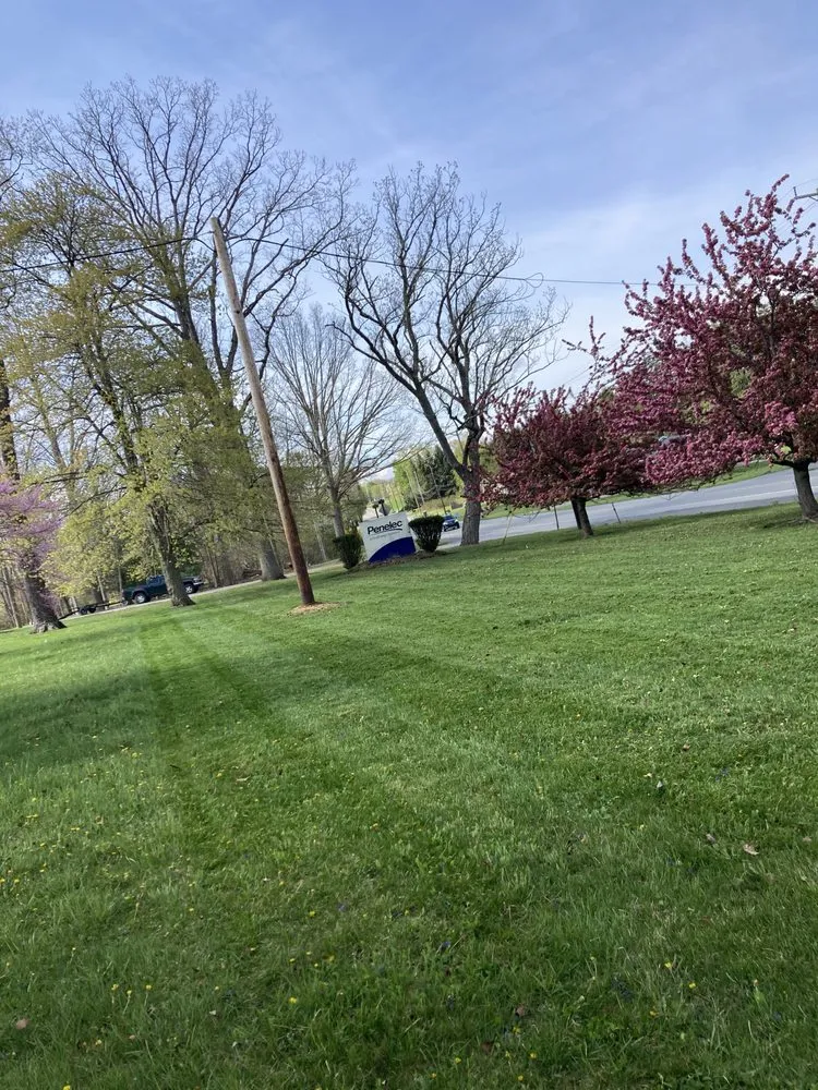 Professional yard cleanup service experts serving Hyde, PA - Integrity Lawn Services
