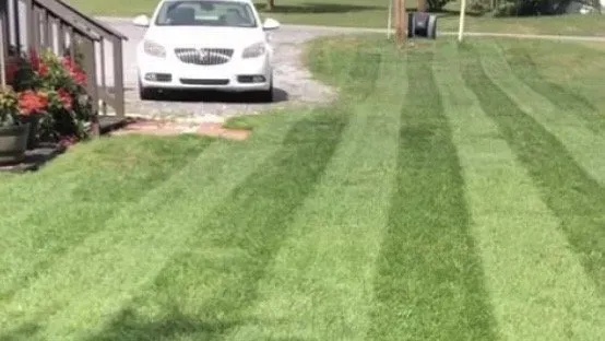 Custom lawn care service in Hyde, PA - Integrity Lawn Services